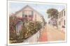 Quince Street, Nantucket, Massachusetts-null-Mounted Art Print