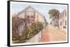 Quince Street, Nantucket, Massachusetts-null-Framed Stretched Canvas