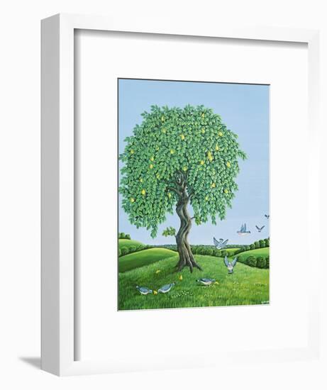 Quince Tree and Pigeons, 1983-Liz Wright-Framed Giclee Print