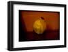 Quince-Valda Bailey-Framed Photographic Print