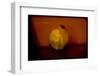 Quince-Valda Bailey-Framed Photographic Print