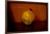 Quince-Valda Bailey-Framed Photographic Print