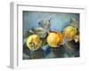 Quinces, 2011,-Cristiana Angelini-Framed Giclee Print