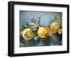 Quinces, 2011,-Cristiana Angelini-Framed Giclee Print