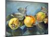 Quinces, 2011,-Cristiana Angelini-Mounted Giclee Print