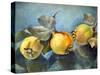 Quinces, 2011,-Cristiana Angelini-Stretched Canvas