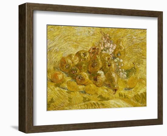 Quinces, Lemons, Pears and Grapes, 1887-1888-Vincent van Gogh-Framed Giclee Print