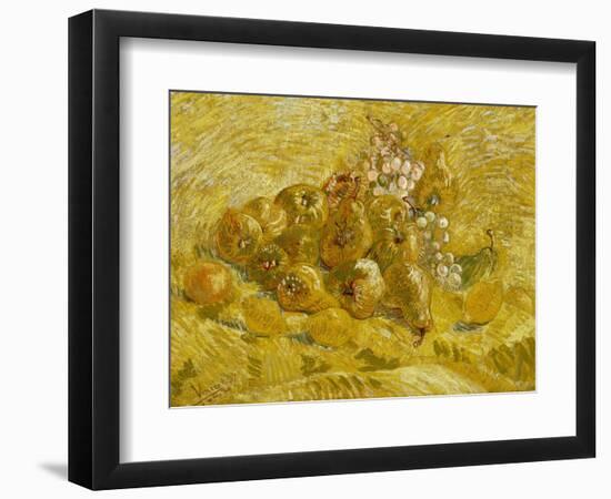 Quinces, Lemons, Pears and Grapes, 1887-1888-Vincent van Gogh-Framed Giclee Print