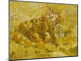 Quinces, Lemons, Pears and Grapes, 1887-1888-Vincent van Gogh-Mounted Giclee Print