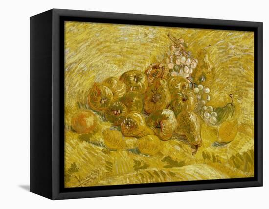 Quinces, Lemons, Pears and Grapes, 1887-1888-Vincent van Gogh-Framed Stretched Canvas