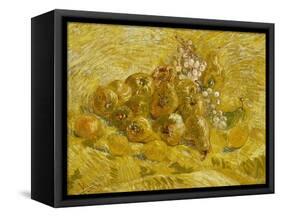 Quinces, Lemons, Pears and Grapes, 1887-1888-Vincent van Gogh-Framed Stretched Canvas