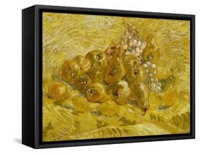 Quinces, Lemons, Pears and Grapes, 1887-1888-Vincent van Gogh-Framed Stretched Canvas