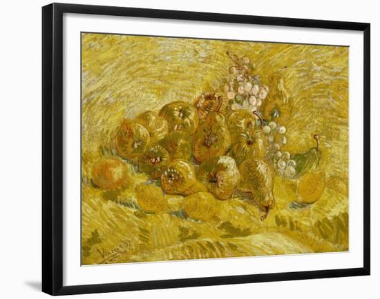 Quinces, Lemons, Pears and Grapes, 1887-1888-Vincent van Gogh-Framed Giclee Print