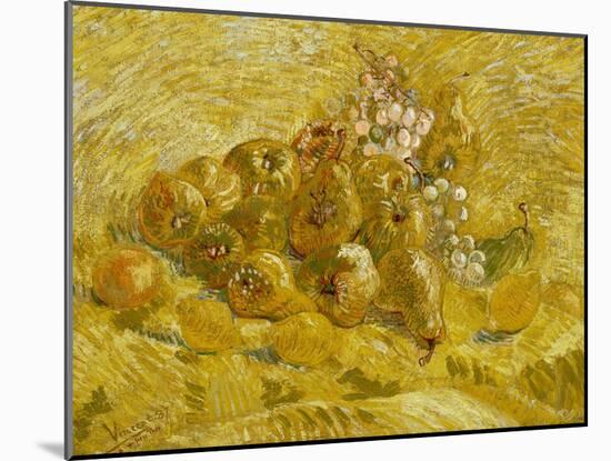 Quinces, Lemons, Pears and Grapes, 1887-1888-Vincent van Gogh-Mounted Giclee Print