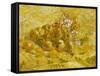 Quinces, Lemons, Pears and Grapes-Vincent van Gogh-Framed Stretched Canvas