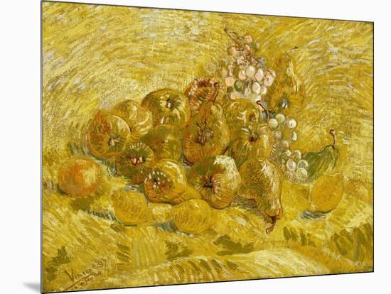 Quinces, Lemons, Pears and Grapes-Vincent van Gogh-Mounted Giclee Print