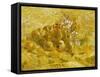 Quinces, Lemons, Pears and Grapes-Vincent van Gogh-Framed Stretched Canvas