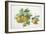 Quinces-Carlos Von Riefel-Framed Art Print