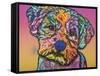 Quincy-004-Dean Russo-Framed Stretched Canvas