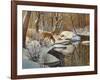 Quinnipiac River White Tails-Bruce Dumas-Framed Giclee Print