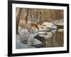 Quinnipiac River White Tails-Bruce Dumas-Framed Giclee Print