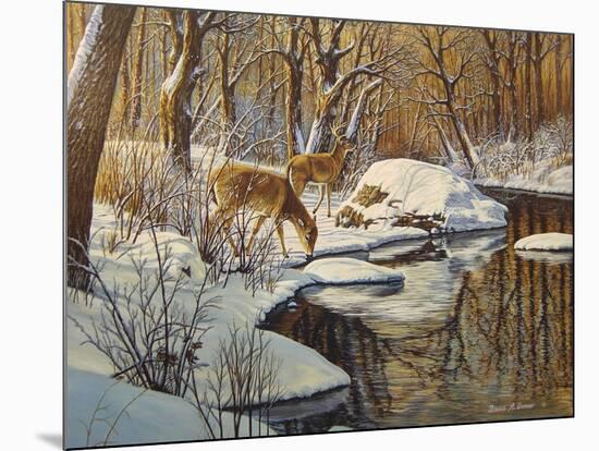 Quinnipiac River White Tails-Bruce Dumas-Mounted Giclee Print