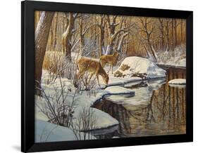 Quinnipiac River White Tails-Bruce Dumas-Framed Giclee Print