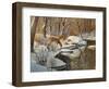 Quinnipiac River White Tails-Bruce Dumas-Framed Giclee Print