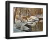 Quinnipiac River White Tails-Bruce Dumas-Framed Giclee Print