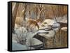 Quinnipiac River White Tails-Bruce Dumas-Framed Stretched Canvas