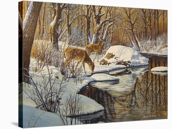 Quinnipiac River White Tails-Bruce Dumas-Stretched Canvas