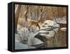Quinnipiac River White Tails-Bruce Dumas-Framed Stretched Canvas