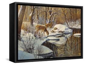 Quinnipiac River White Tails-Bruce Dumas-Framed Stretched Canvas