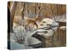 Quinnipiac River White Tails-Bruce Dumas-Stretched Canvas
