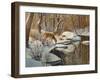 Quinnipiac River White Tails-Bruce Dumas-Framed Giclee Print