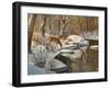 Quinnipiac River White Tails-Bruce Dumas-Framed Giclee Print