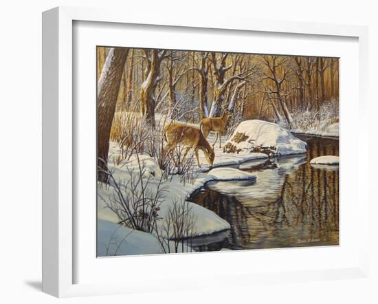 Quinnipiac River White Tails-Bruce Dumas-Framed Giclee Print