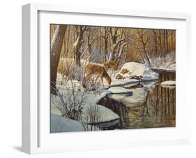 Quinnipiac River White Tails-Bruce Dumas-Framed Giclee Print