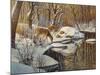 Quinnipiac River White Tails-Bruce Dumas-Mounted Giclee Print