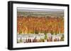 Quinoa field plantation, Uyuni, Potosi Department, Bolivia-Keren Su-Framed Photographic Print