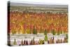 Quinoa field plantation, Uyuni, Potosi Department, Bolivia-Keren Su-Stretched Canvas