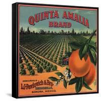 Quinta Amalia Brand - Sonora, Mexico - Citrus Crate Label-Lantern Press-Framed Stretched Canvas