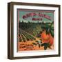 Quinta Amalia Brand - Sonora, Mexico - Citrus Crate Label-Lantern Press-Framed Art Print