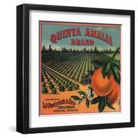 Quinta Amalia Brand - Sonora, Mexico - Citrus Crate Label-Lantern Press-Framed Art Print