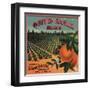 Quinta Amalia Brand - Sonora, Mexico - Citrus Crate Label-Lantern Press-Framed Art Print