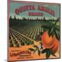 Quinta Amalia Brand - Sonora, Mexico - Citrus Crate Label-Lantern Press-Mounted Art Print