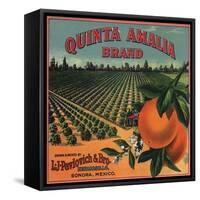 Quinta Amalia Brand - Sonora, Mexico - Citrus Crate Label-Lantern Press-Framed Stretched Canvas