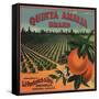 Quinta Amalia Brand - Sonora, Mexico - Citrus Crate Label-Lantern Press-Framed Stretched Canvas