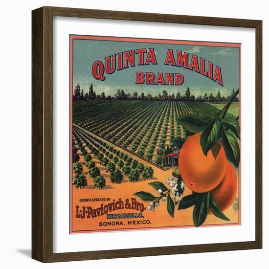 Quinta Amalia Brand - Sonora, Mexico - Citrus Crate Label-Lantern Press-Framed Art Print