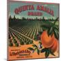 Quinta Amalia Brand - Sonora, Mexico - Citrus Crate Label-Lantern Press-Mounted Art Print